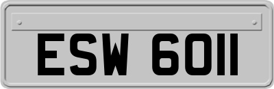ESW6011