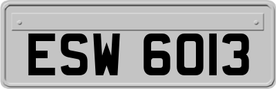 ESW6013