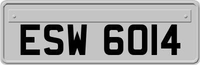 ESW6014