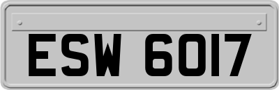 ESW6017
