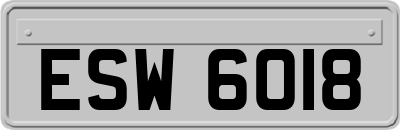 ESW6018