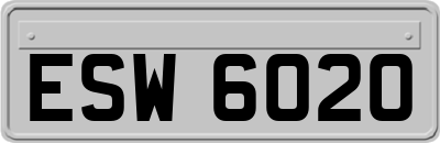ESW6020