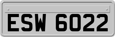 ESW6022