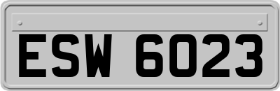 ESW6023