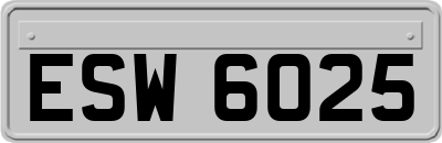ESW6025