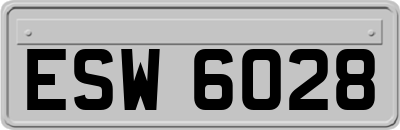ESW6028