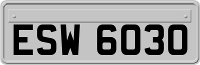 ESW6030