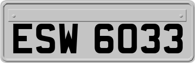 ESW6033
