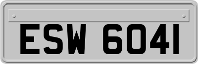 ESW6041
