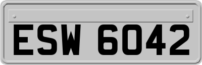 ESW6042