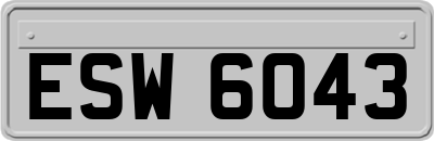 ESW6043