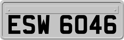 ESW6046