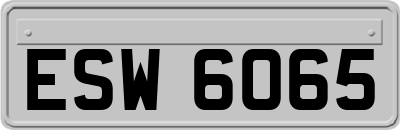 ESW6065
