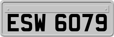 ESW6079