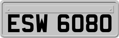ESW6080