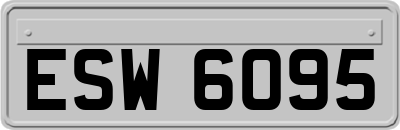 ESW6095
