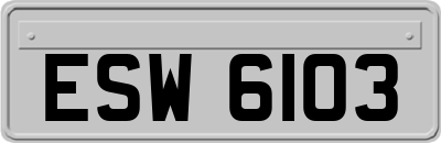 ESW6103