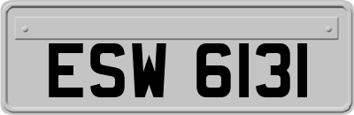 ESW6131