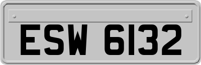 ESW6132