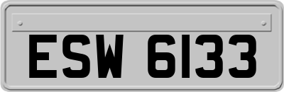 ESW6133