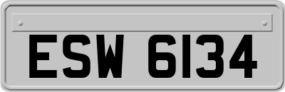 ESW6134
