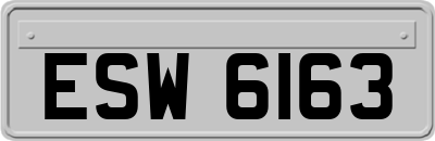 ESW6163