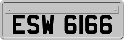 ESW6166