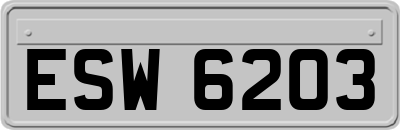 ESW6203