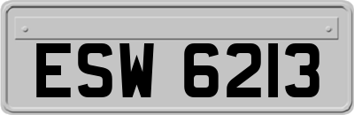 ESW6213