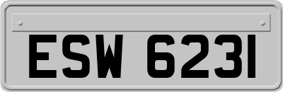 ESW6231