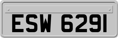 ESW6291