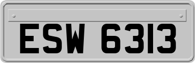 ESW6313
