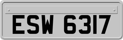 ESW6317