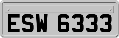 ESW6333
