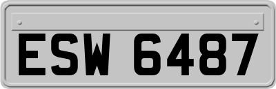 ESW6487