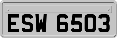 ESW6503