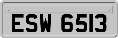 ESW6513