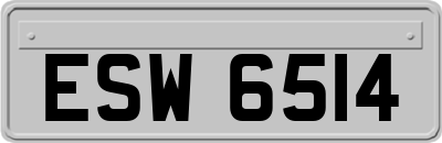 ESW6514