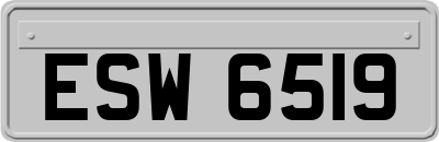 ESW6519