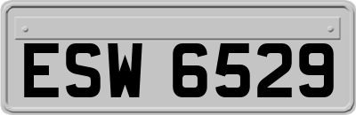 ESW6529