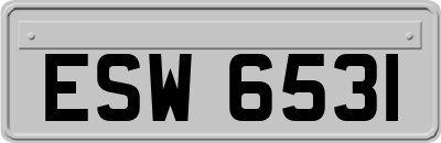 ESW6531