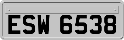 ESW6538