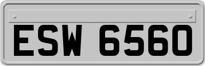 ESW6560