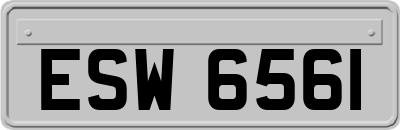 ESW6561