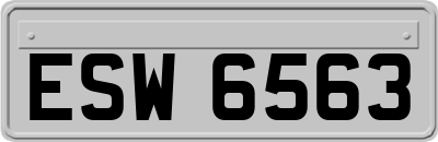 ESW6563