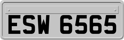 ESW6565