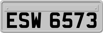 ESW6573
