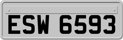 ESW6593