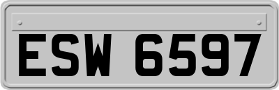 ESW6597