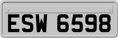 ESW6598